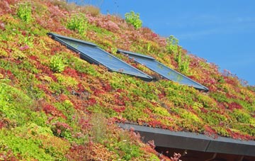 Standen Street living roof systems